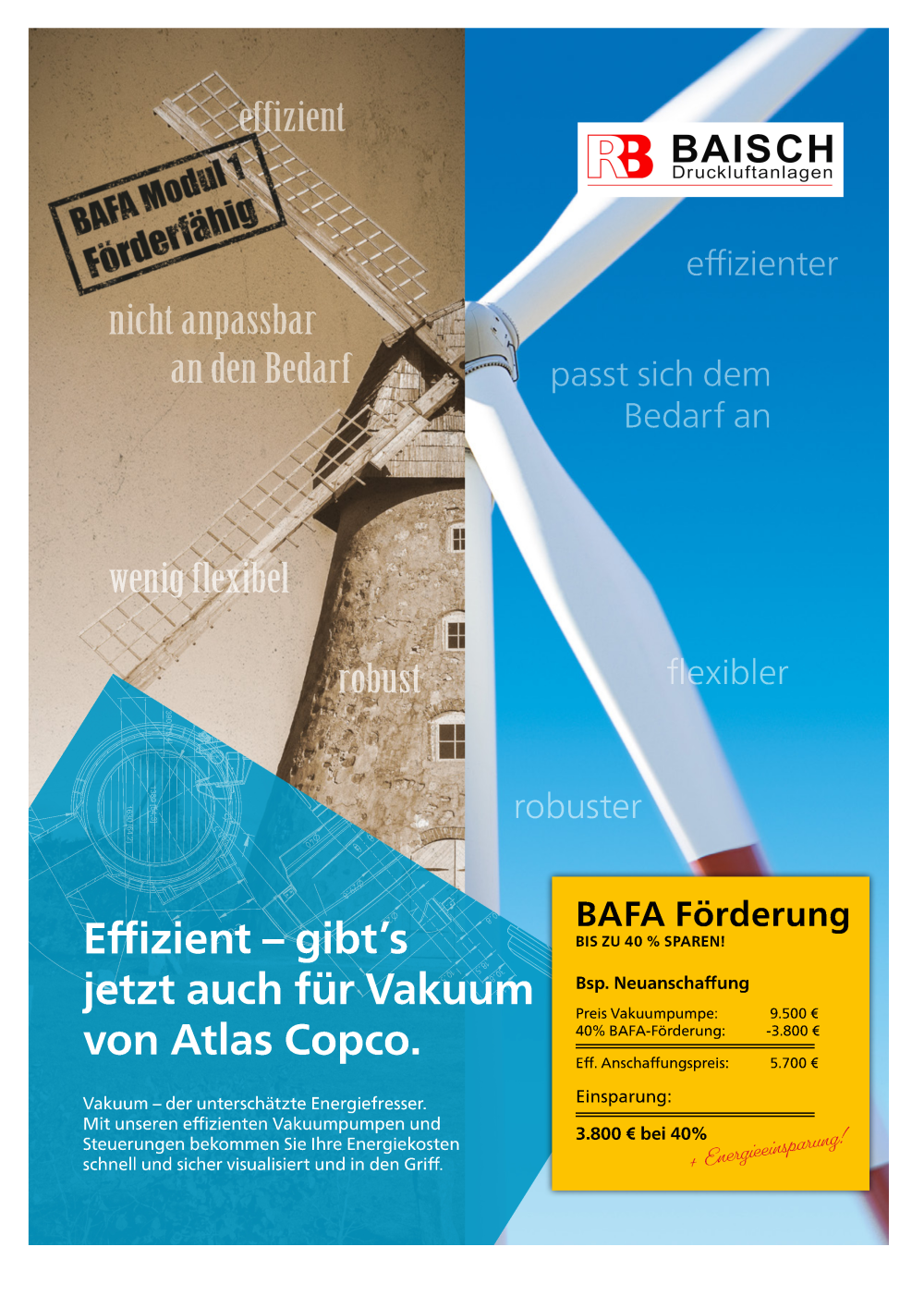 Flyer BAFA- Förderung